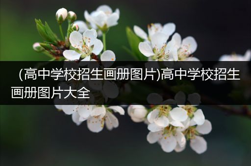 （高中学校招生画册图片)高中学校招生画册图片大全