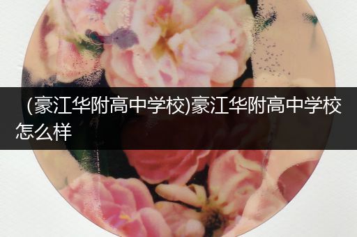 （豪江华附高中学校)豪江华附高中学校怎么样