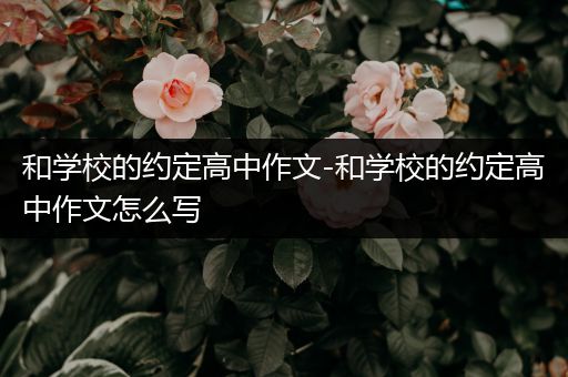 和学校的约定高中作文-和学校的约定高中作文怎么写