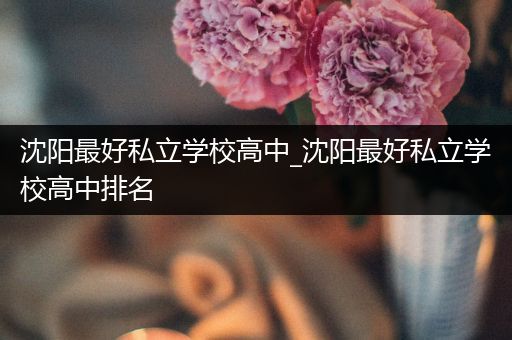 沈阳最好私立学校高中_沈阳最好私立学校高中排名