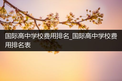 国际高中学校费用排名_国际高中学校费用排名表