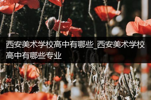 西安美术学校高中有哪些_西安美术学校高中有哪些专业