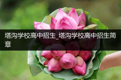 塔沟学校高中招生_塔沟学校高中招生简章