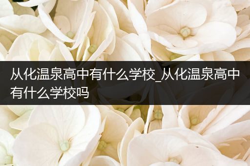 从化温泉高中有什么学校_从化温泉高中有什么学校吗