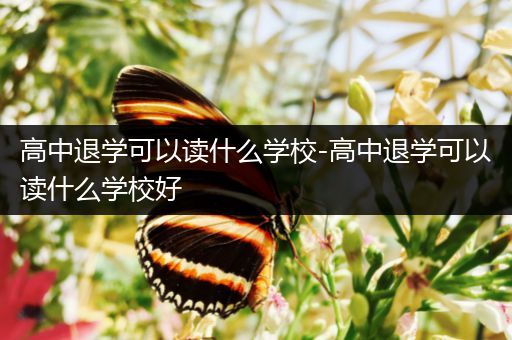 高中退学可以读什么学校-高中退学可以读什么学校好