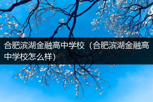 合肥滨湖金融高中学校（合肥滨湖金融高中学校怎么样）