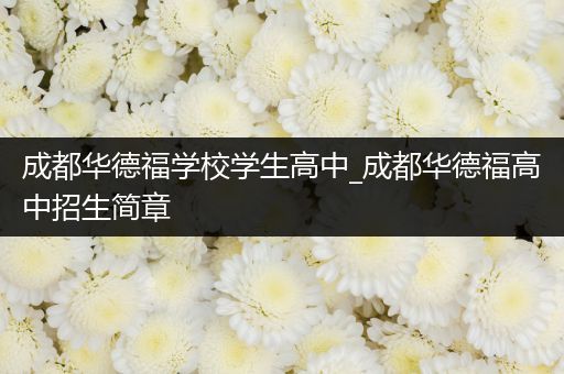 成都华德福学校学生高中_成都华德福高中招生简章