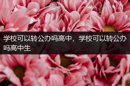 学校可以转公办吗高中，学校可以转公办吗高中生