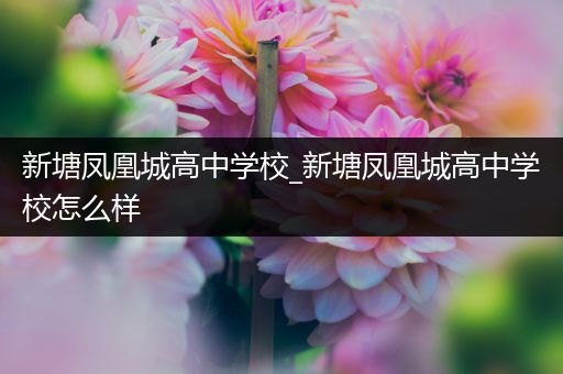 新塘凤凰城高中学校_新塘凤凰城高中学校怎么样