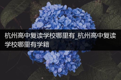 杭州高中复读学校哪里有_杭州高中复读学校哪里有学籍