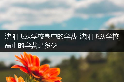 沈阳飞跃学校高中的学费_沈阳飞跃学校高中的学费是多少