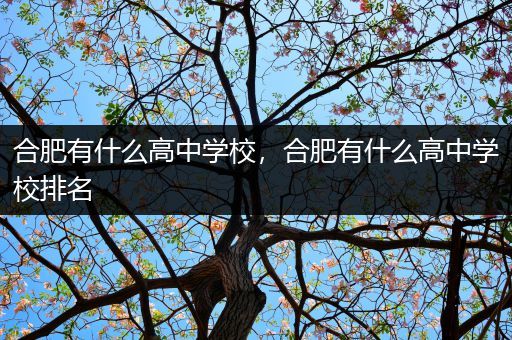 合肥有什么高中学校，合肥有什么高中学校排名