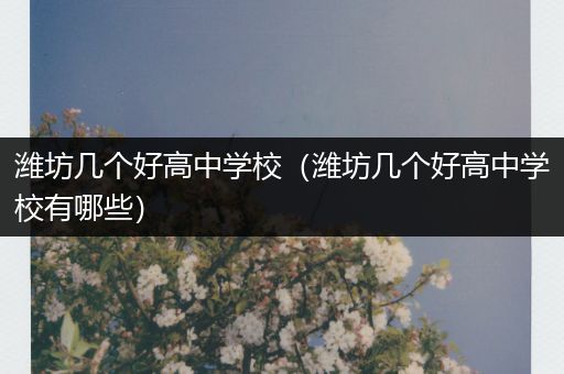 潍坊几个好高中学校（潍坊几个好高中学校有哪些）