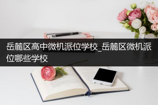 岳麓区高中微机派位学校_岳麓区微机派位哪些学校