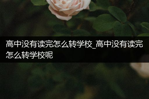 高中没有读完怎么转学校_高中没有读完怎么转学校呢