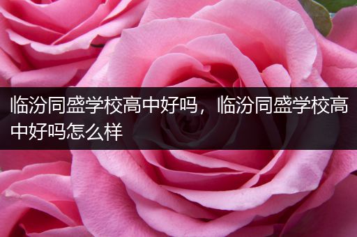 临汾同盛学校高中好吗，临汾同盛学校高中好吗怎么样
