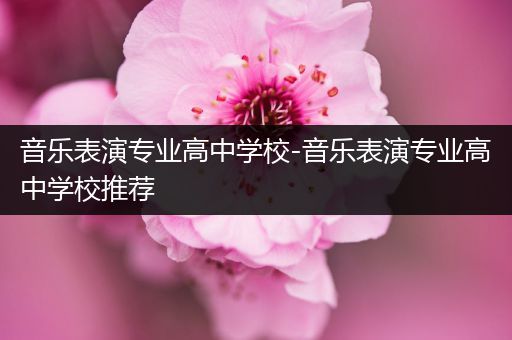 音乐表演专业高中学校-音乐表演专业高中学校推荐