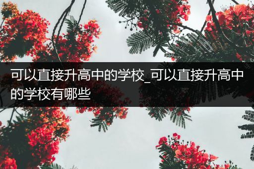 可以直接升高中的学校_可以直接升高中的学校有哪些