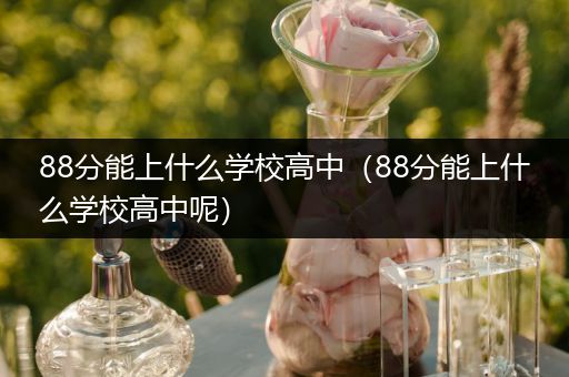 88分能上什么学校高中（88分能上什么学校高中呢）