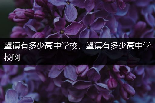 望谟有多少高中学校，望谟有多少高中学校啊