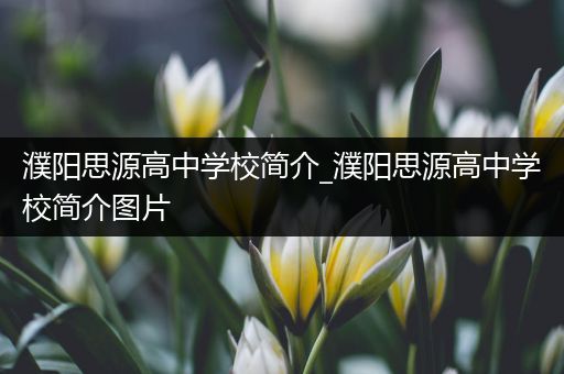 濮阳思源高中学校简介_濮阳思源高中学校简介图片