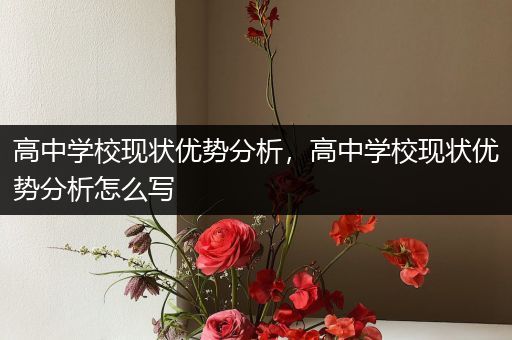 高中学校现状优势分析，高中学校现状优势分析怎么写