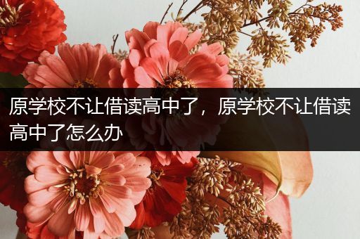 原学校不让借读高中了，原学校不让借读高中了怎么办