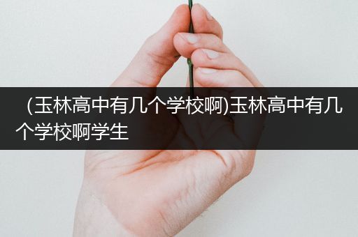 （玉林高中有几个学校啊)玉林高中有几个学校啊学生