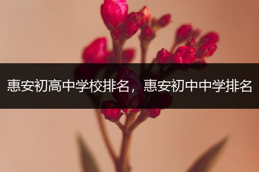 惠安初高中学校排名，惠安初中中学排名