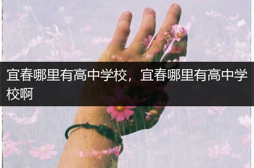 宜春哪里有高中学校，宜春哪里有高中学校啊