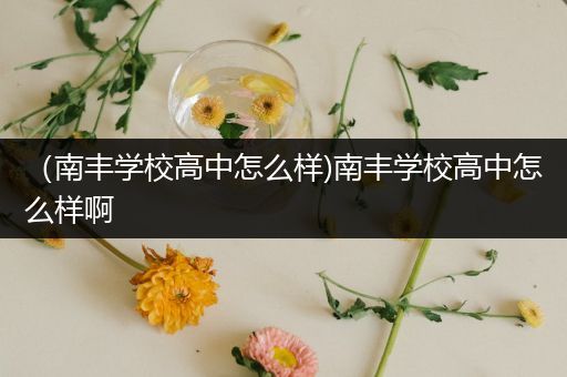 （南丰学校高中怎么样)南丰学校高中怎么样啊