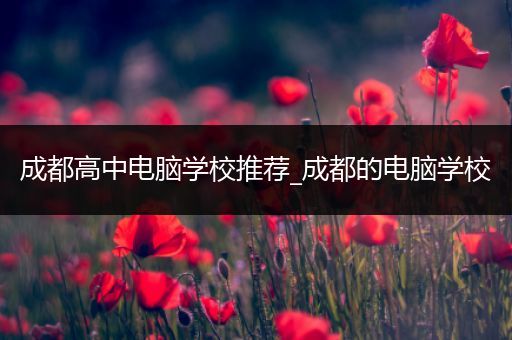 成都高中电脑学校推荐_成都的电脑学校