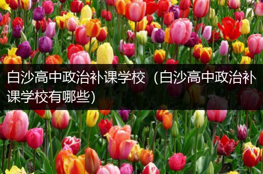 白沙高中政治补课学校（白沙高中政治补课学校有哪些）