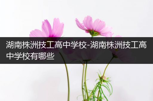 湖南株洲技工高中学校-湖南株洲技工高中学校有哪些