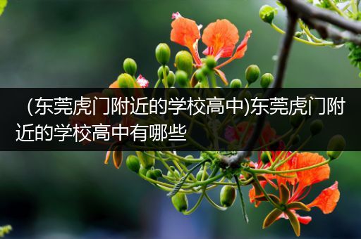 （东莞虎门附近的学校高中)东莞虎门附近的学校高中有哪些