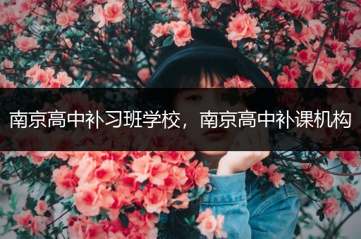 南京高中补习班学校，南京高中补课机构