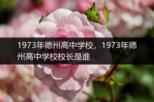 1973年德州高中学校，1973年德州高中学校校长是谁