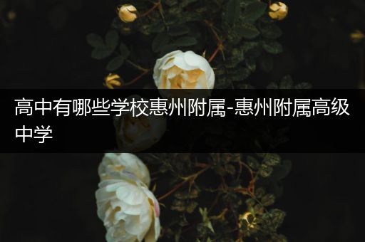 高中有哪些学校惠州附属-惠州附属高级中学