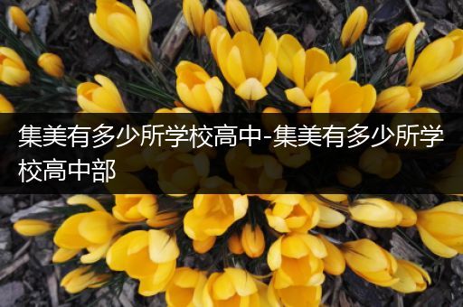 集美有多少所学校高中-集美有多少所学校高中部