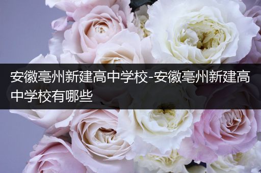 安徽亳州新建高中学校-安徽亳州新建高中学校有哪些