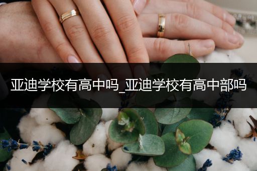 亚迪学校有高中吗_亚迪学校有高中部吗