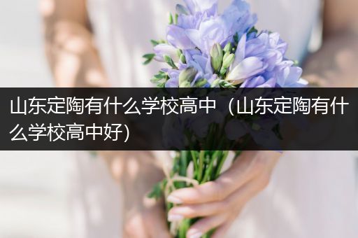 山东定陶有什么学校高中（山东定陶有什么学校高中好）