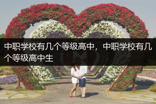 中职学校有几个等级高中，中职学校有几个等级高中生