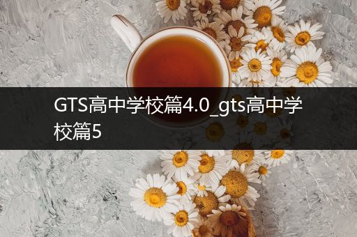 GTS高中学校篇4.0_gts高中学校篇5