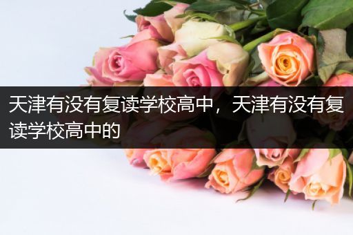 天津有没有复读学校高中，天津有没有复读学校高中的