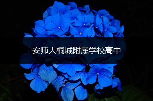 安师大桐城附属学校高中