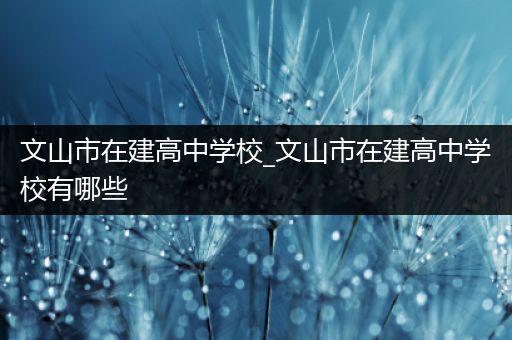 文山市在建高中学校_文山市在建高中学校有哪些