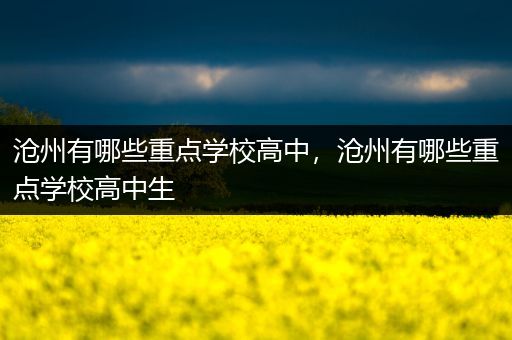 沧州有哪些重点学校高中，沧州有哪些重点学校高中生