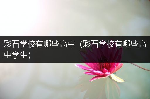 彩石学校有哪些高中（彩石学校有哪些高中学生）