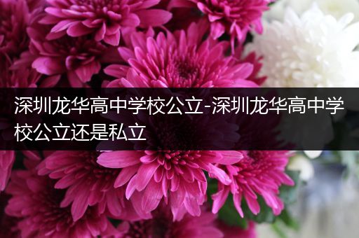深圳龙华高中学校公立-深圳龙华高中学校公立还是私立